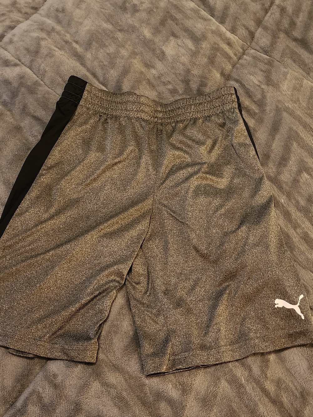 Puma Grey Athletic Shorts with Black Side Panels